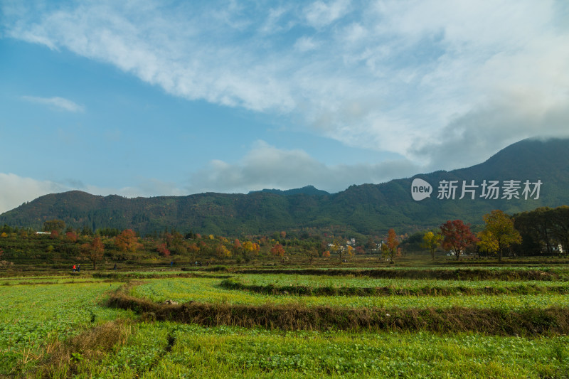 塔川的秋天