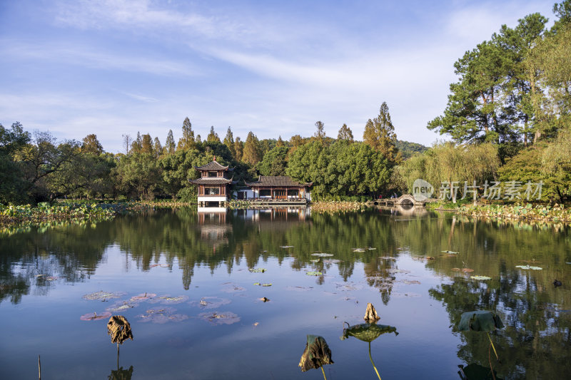 杭州西湖风景区曲院风荷风景