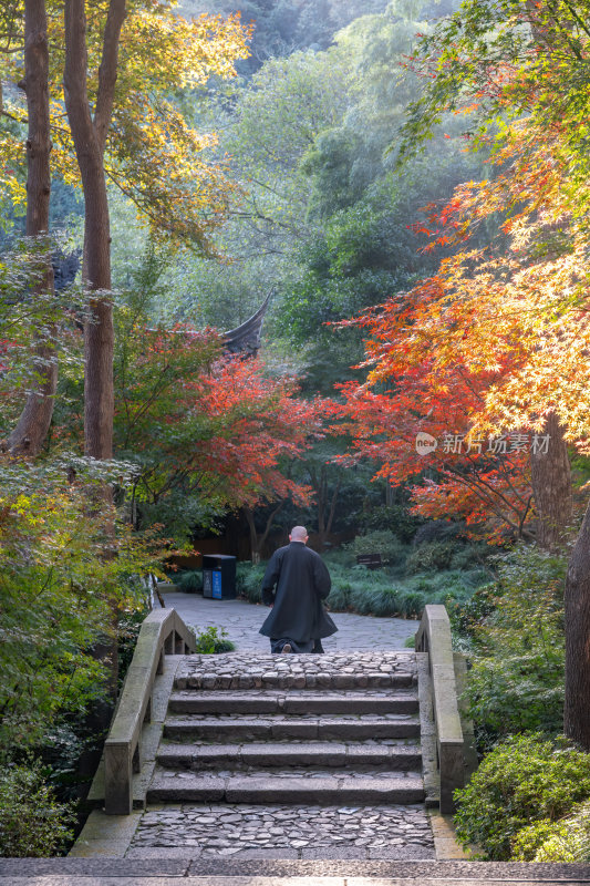 浙江杭州永福禅寺古寺秋景枫树红叶禅意