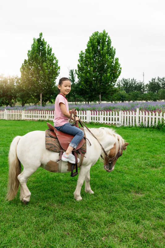 在茂盛的草坪上骑小矮马的中国女孩