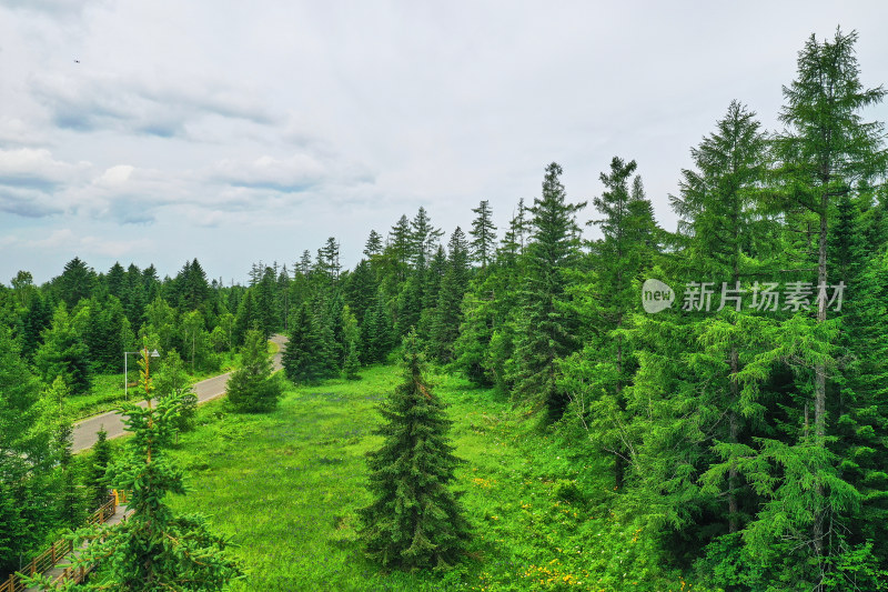 长白山高山花园风光