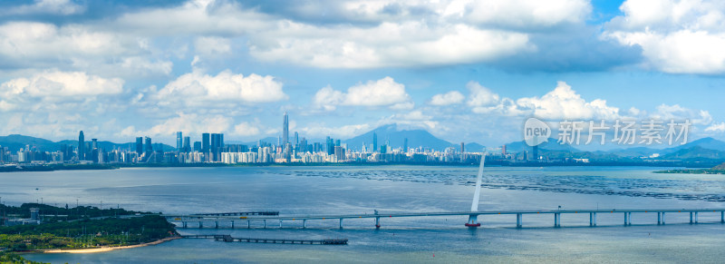 城市天际线与跨海大桥的壮丽景观