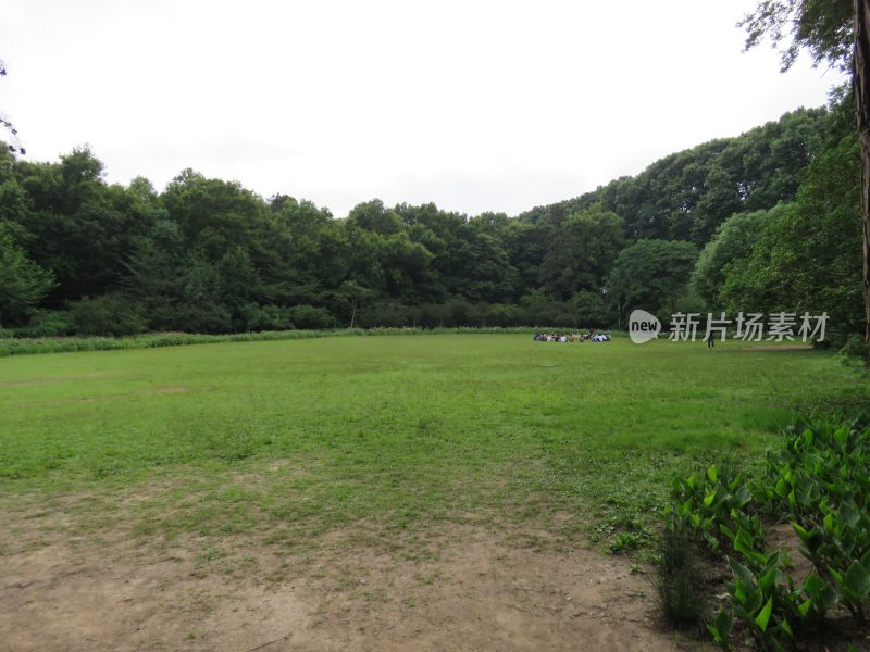 南京紫金山音乐台景区风景