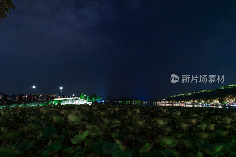 西湖夜景中灯火映照的荷叶景观