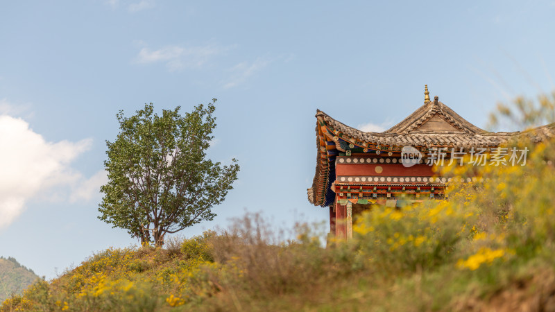 蓝天白云下的寺院