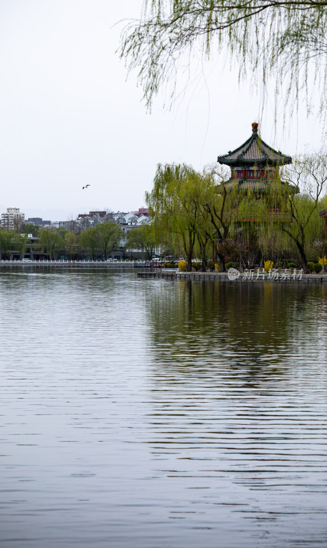 北京什刹海后海公园景点景观