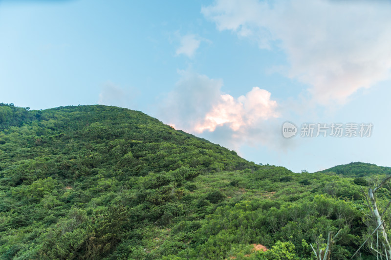 东山岛蓝天白云下的绿意山丘