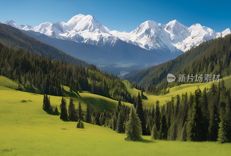 雪山草原森林风景