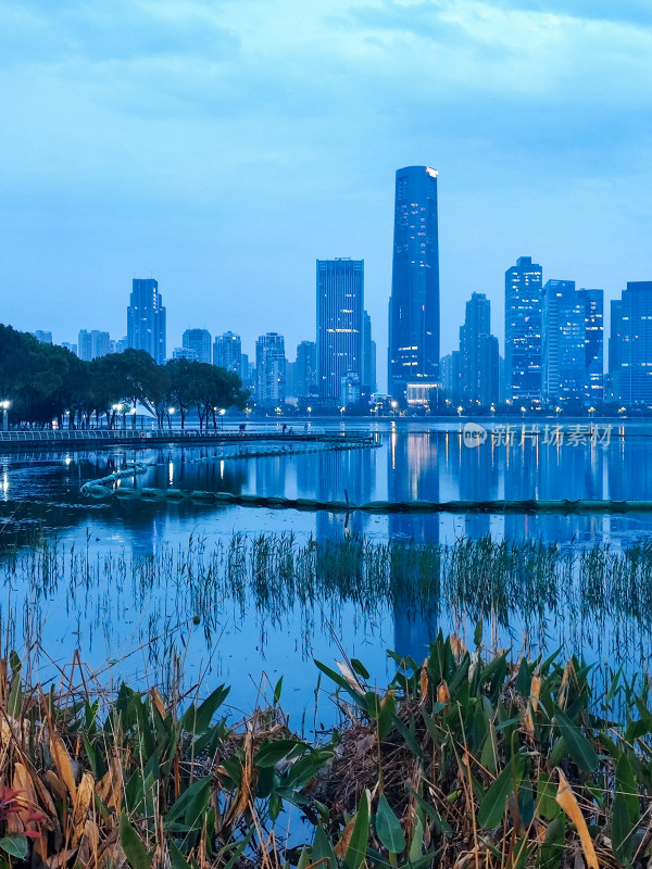 城市湖泊旁的高楼夜景