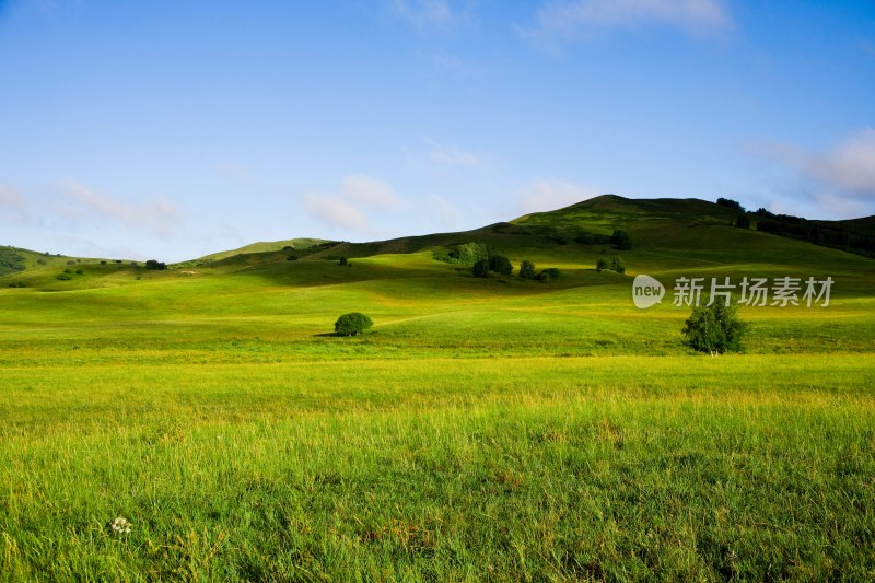 内蒙,坝上,乌兰木统,乌兰木统草原,红山,军马场,草原,草地,