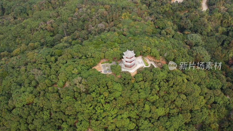 广东东莞：大王山森林公园