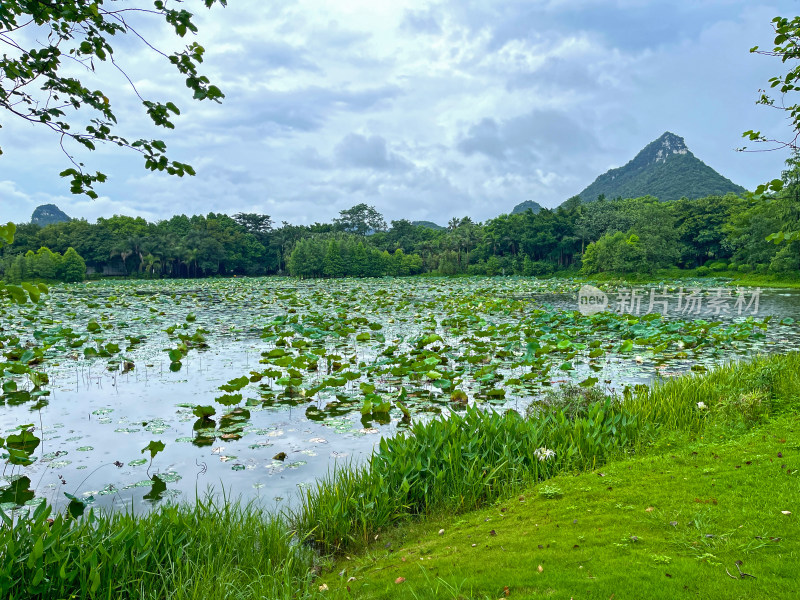 柳州都乐岩公园池塘