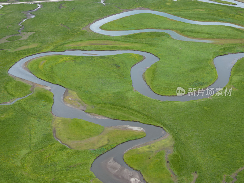 黄河草原湿地