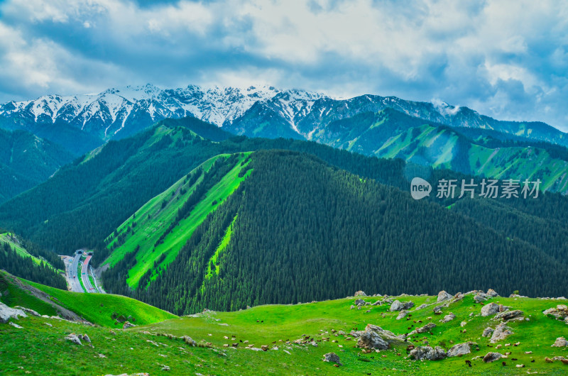 新疆伊犁果子沟高山森林草原牧场