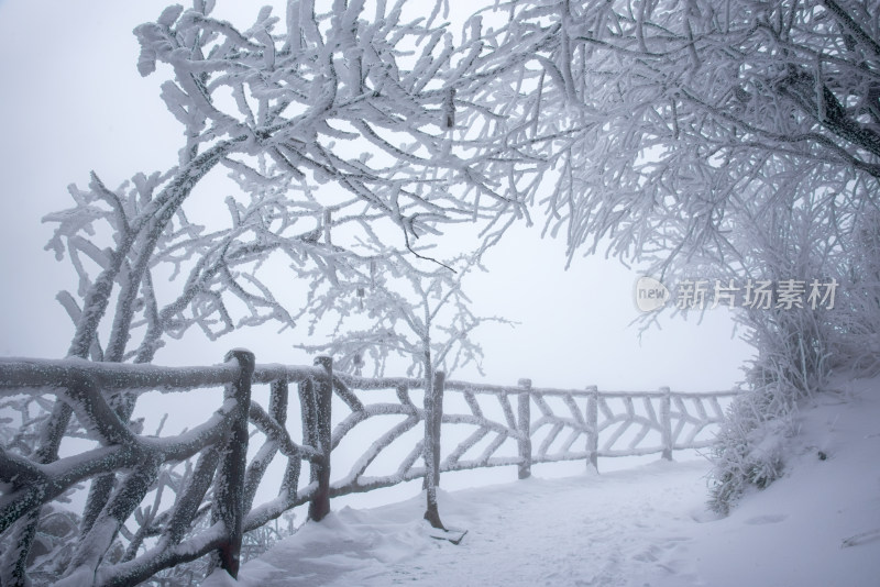 寒冷冬季景区雪后栈道