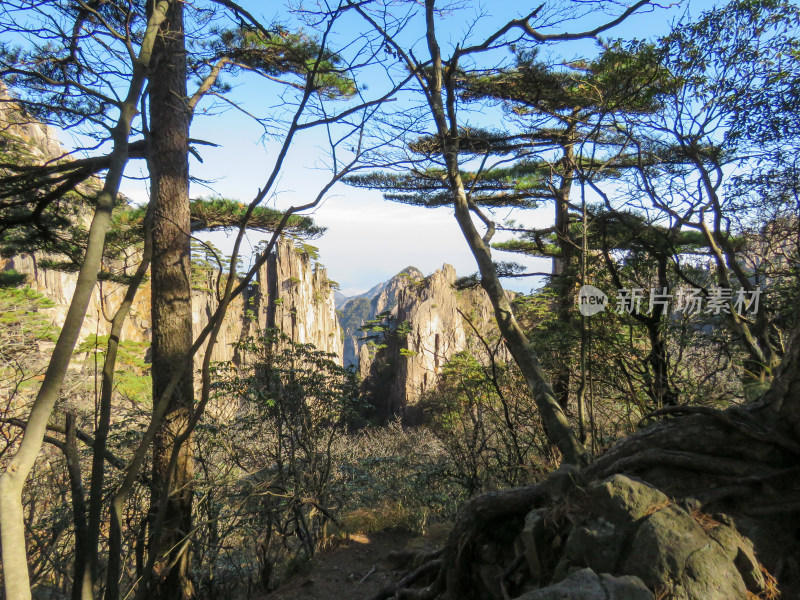 中国安徽黄山旅游风光