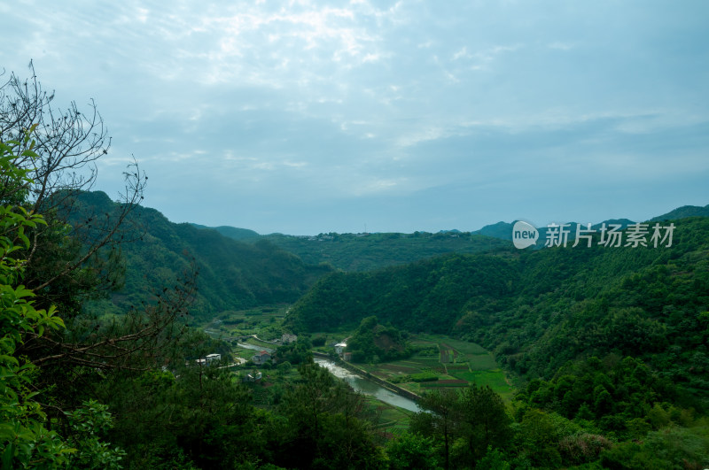 山中的自然风景