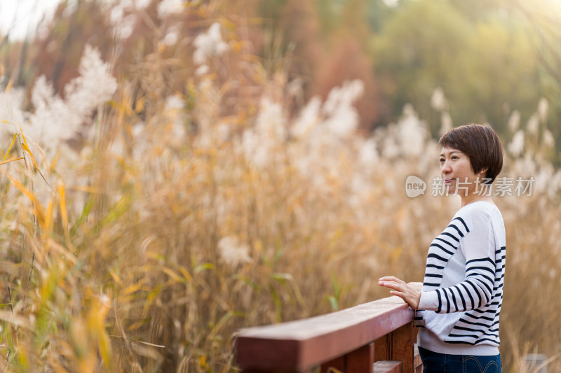 深秋站在芦苇荡桥边欣赏秋季美景的东方女性