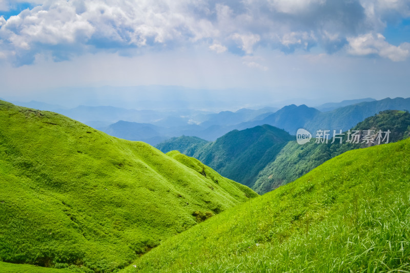 夏天江西武功山的高山草甸