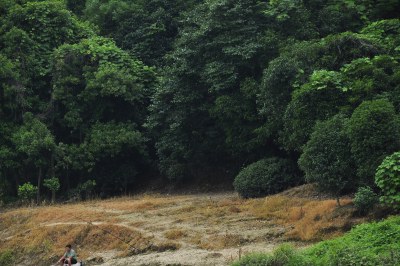 长沙风景，自然风光，长沙城景