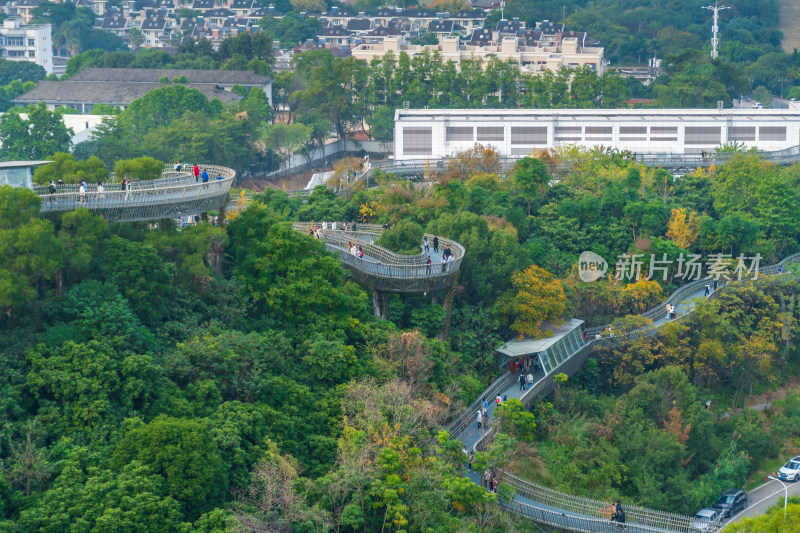 福州福道山林中蜿蜒的观景步道