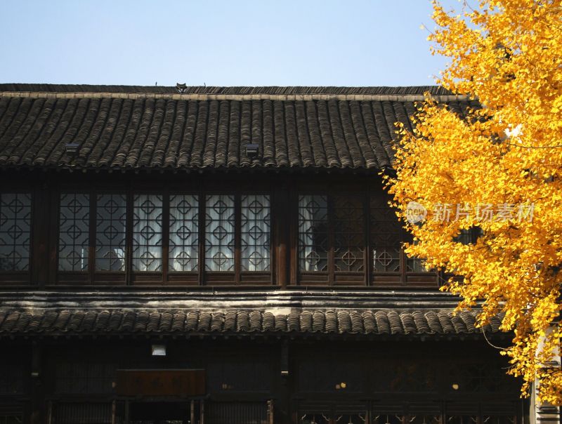 秋季江南古镇乌镇风光