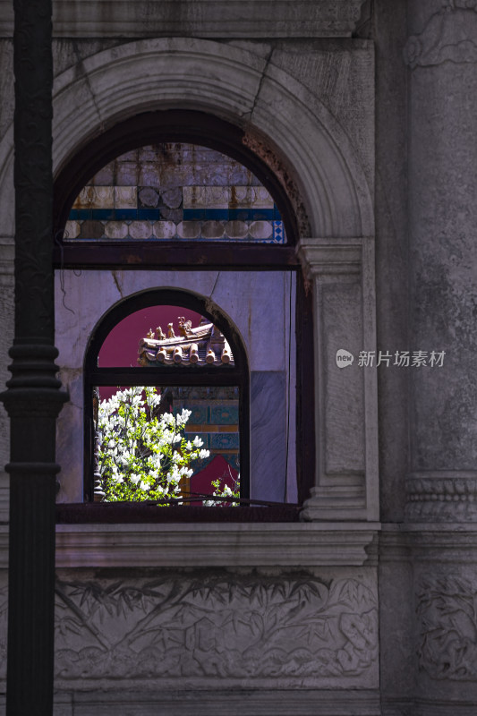 故宫延禧宫中式古建筑窗景及繁花