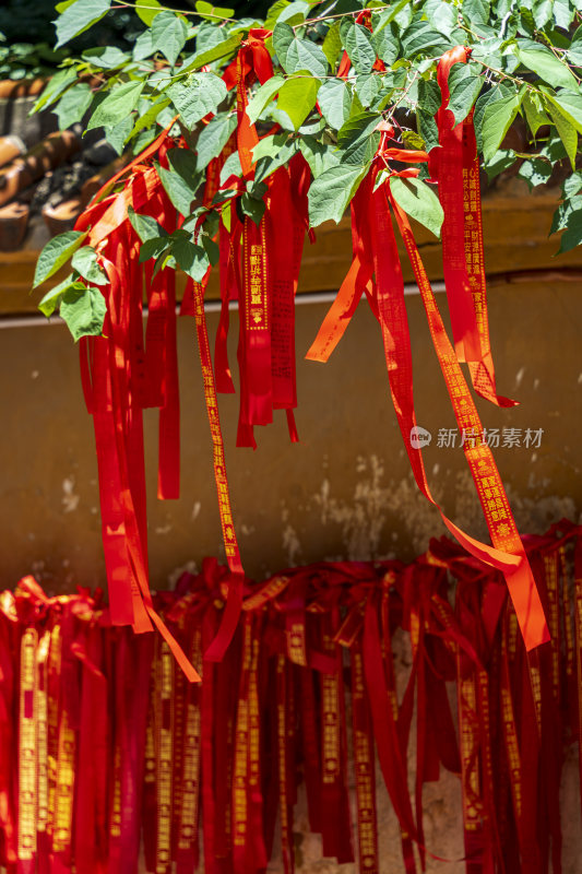 武汉洪山区宝通禅寺风景