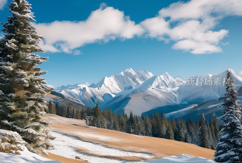 雪山高原草原森林风景