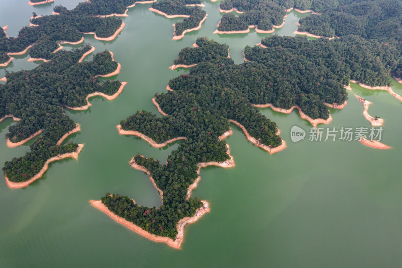 广州流溪河国家森林公园