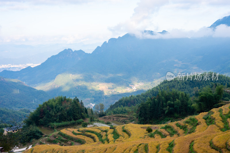 浙江丽水云和梯田景区风光