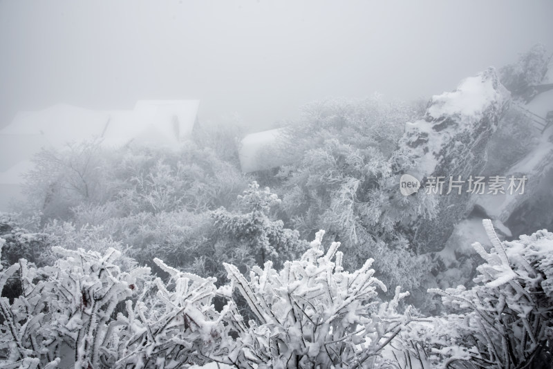 寒冷冬天大雪迷雾中的老君山