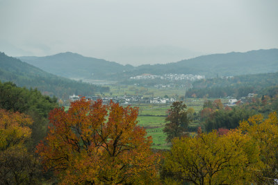 塔川的深秋