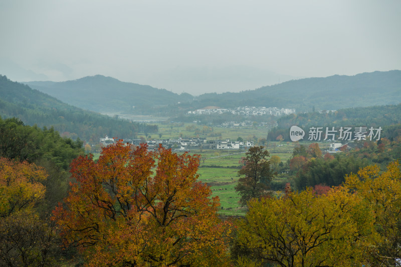 塔川的深秋