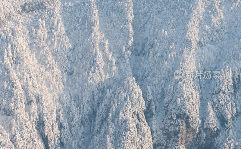 雪后的峨眉山悬崖森林