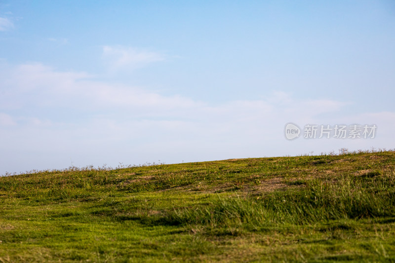 山东青岛海之恋公园海滨草坡草坪