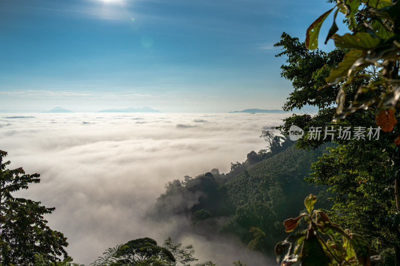 山顶的云海