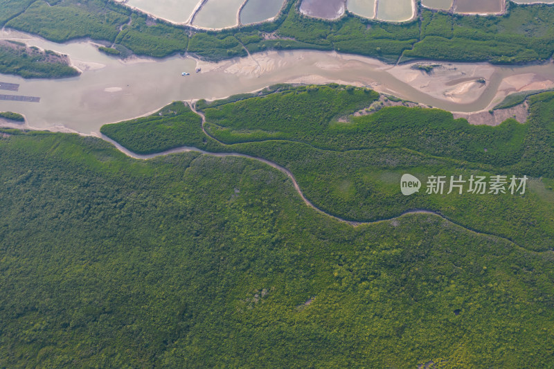 湛江高桥红树林保护区