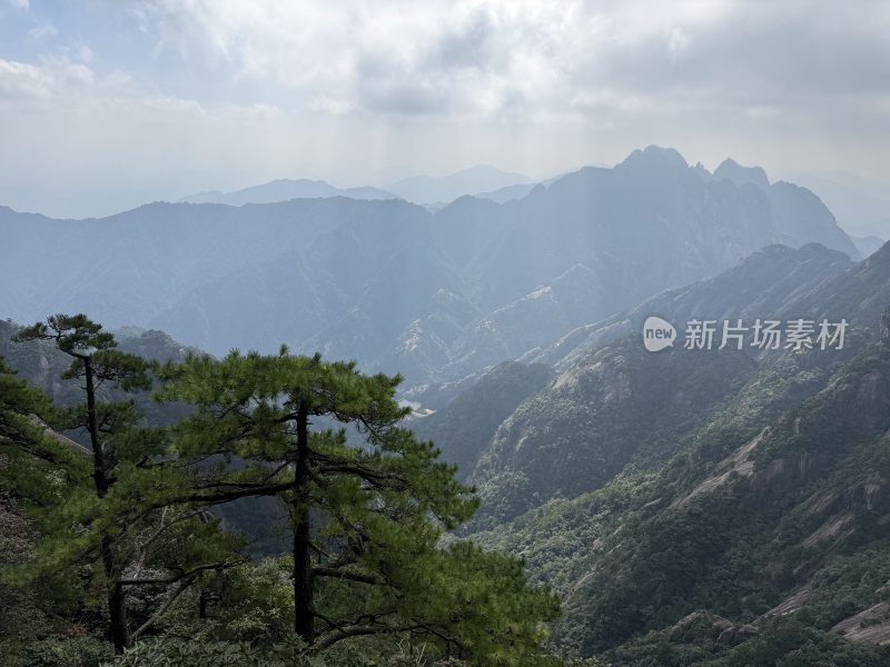 黄山山间松树映衬下的壮丽山脉全景