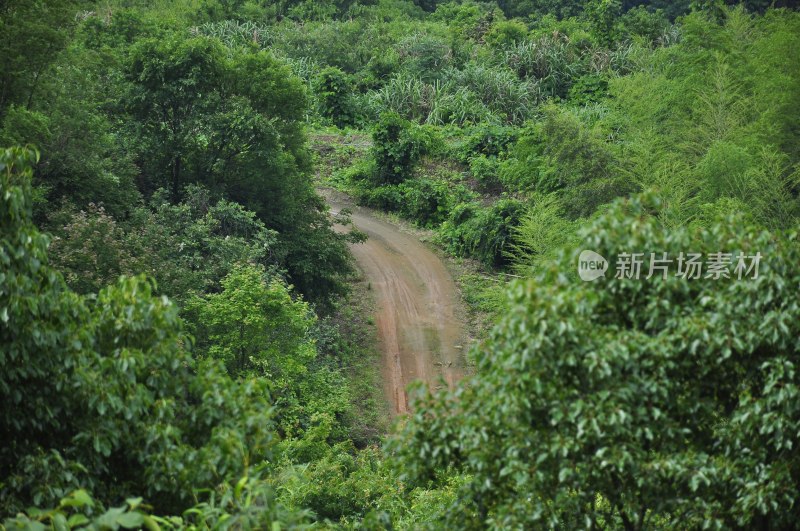 长沙风光  长沙街景 长沙城景  自然风景