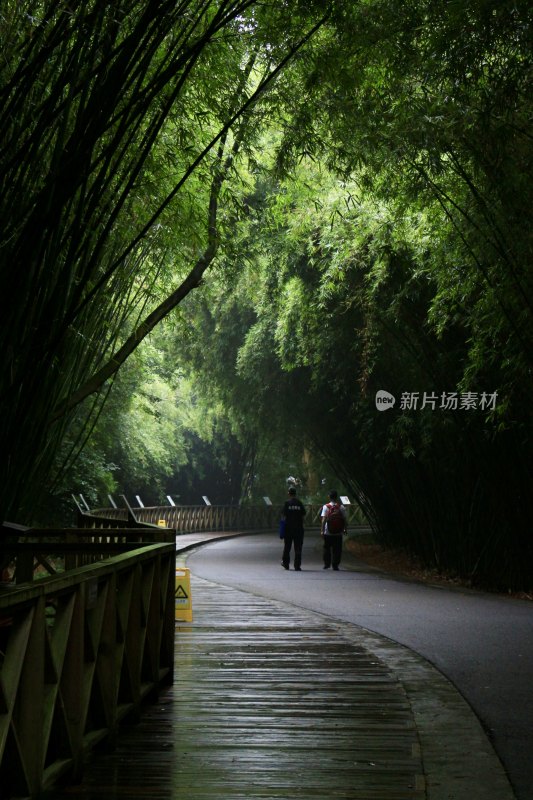 成都大熊猫基地步行道