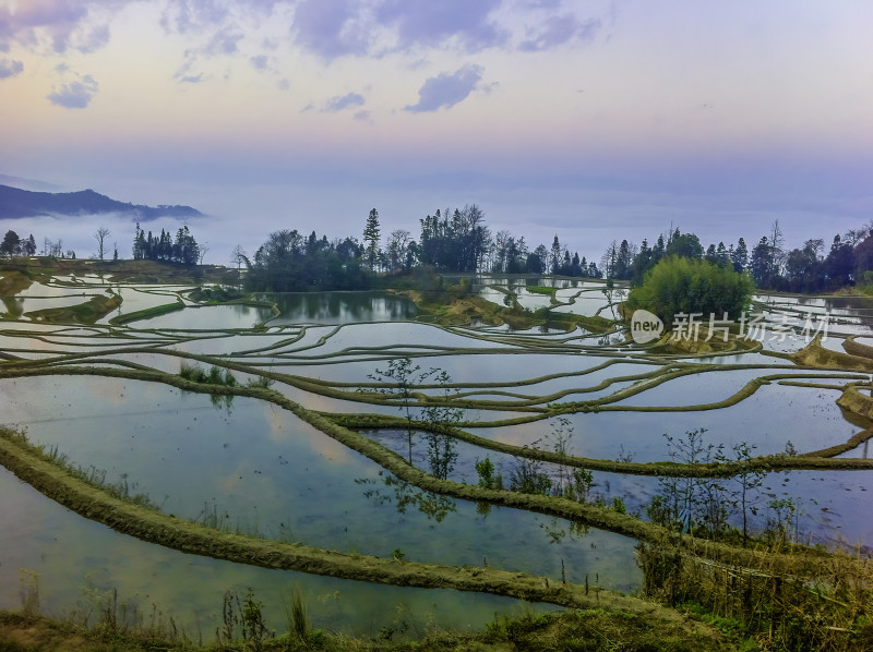 云南元阳梯田风光