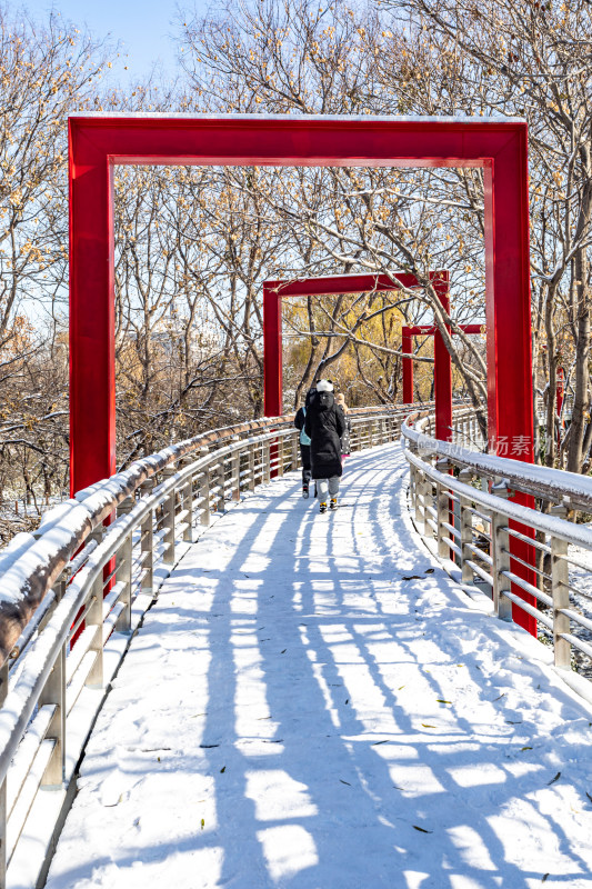 济南泉城公园自然景观雪景