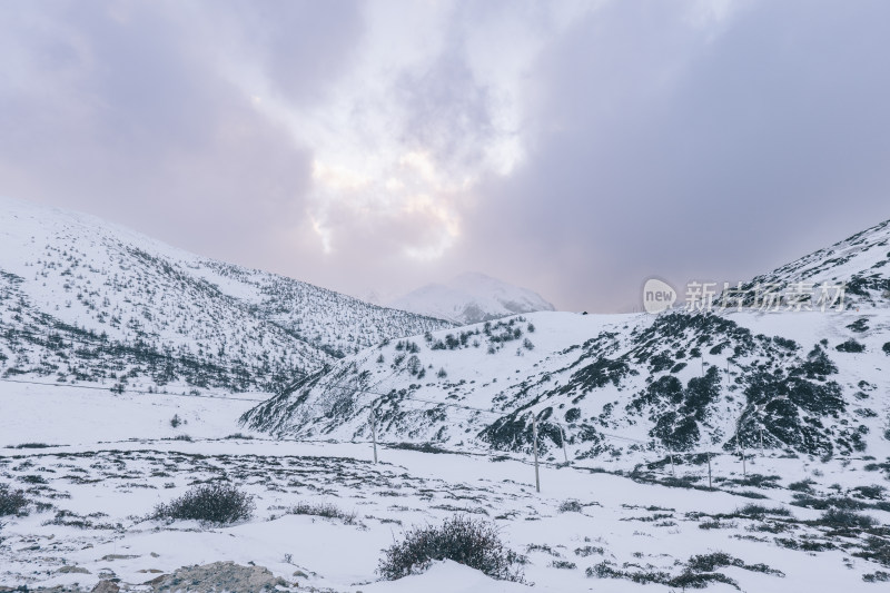 云南迪庆州白马雪山冬季风景