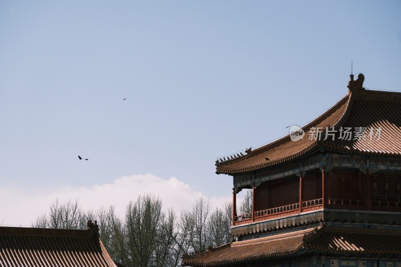 故宫细节图