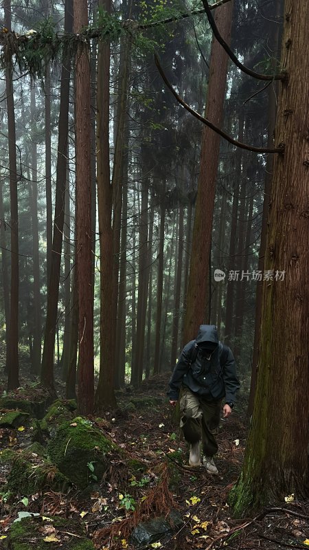 雾中森林里身穿雨衣的人在行走