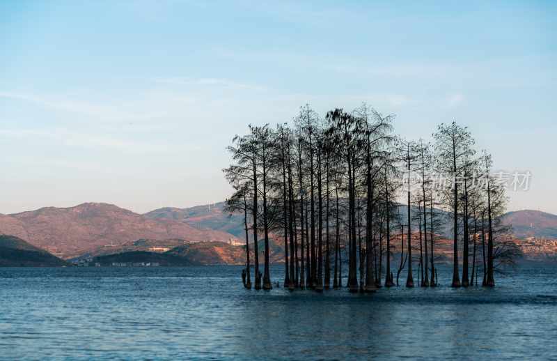 云南旅游大理洱海蒙自弥勒建水元阳梯田景区