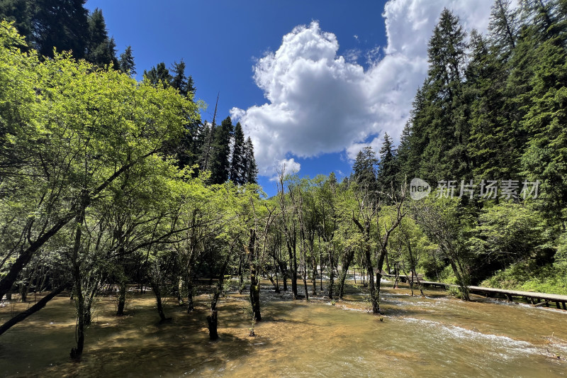 松潘县牟尼沟景区自然山水风光