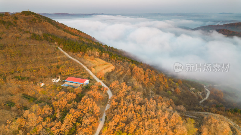 航拍视角山川云雾自然风景