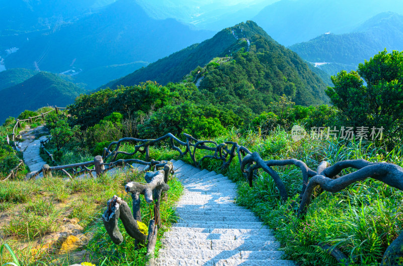 深圳梧桐山旅游景区登山栈道阶梯